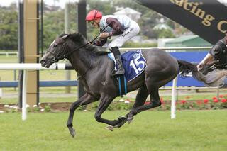 On The Rocks (NZ) heads a Karaka trifecta in the $100,000 Group 2 Rich Hill Mile. Photo: Trish Dunell.